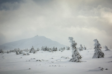 Fototapeta na wymiar Mount Sniezka during a snowstorm in Karkonosze, Sudety, Poland