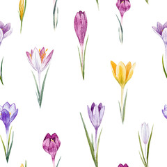 Watercolor crocus floral pattern
