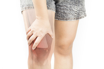 Knee muscle pain 