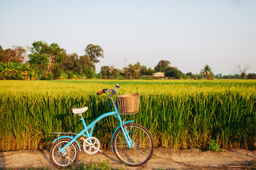 Fototapeta premium Rural dirt road tropical green rice field and bicycle in Koh Tepo, Uthaithani, Thailand