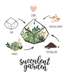 'Succulent garden' infographic