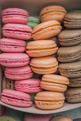 sweet french macaroon on white isolated white background. fly falling sweet macaroni