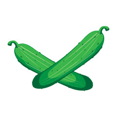 Cucumber and slice isolated on white photo-realistic vector illustration
