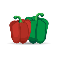 Bell Pepper, a hand drawn vector illustration of a bell pepper (paprika), isolated on an artistic background with shadow backdrop (each elements are on separate groups for easy editing).