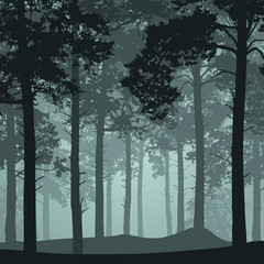 Vector illustration of a forest with silhouettes of trees
