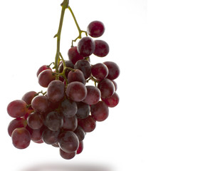 Bunch of ripe red grapes hanging vertical
