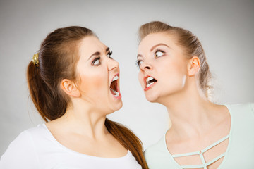 Two agressive women having argue fight