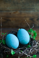 Obraz premium Easter decor, background: painted eggs of blue color in a decorative nest with branches of greenery, the concept of the spring festival, the arrival of spring. The layout for your text.