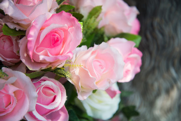 Sweet Roses