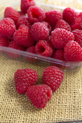 framboises