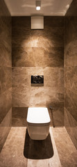 Detail of toilet in a marble bathroom
