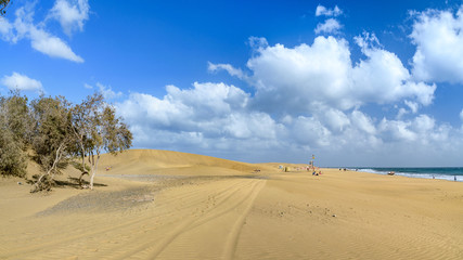 dunes of Maspalomas, Gran Canaria