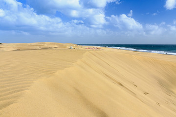 Fototapeta na wymiar dunes of Maspalomas, Gran Canaria