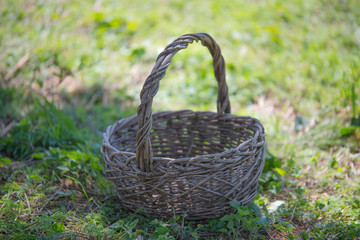 Fototapeta na wymiar Empty Basket On Green Field