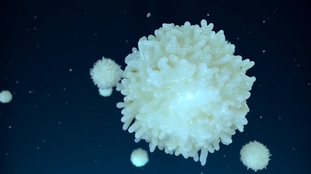 Lymphocyte (Leukocyte). Medically accurate 3D representation of an electron microscope view.