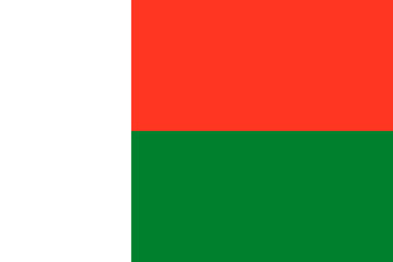 Flag of Madagascar. Symbol of Independence Day, souvenir sport game, button language, icon.