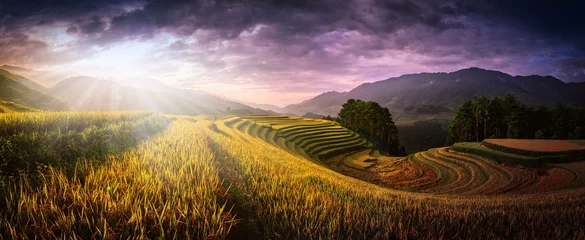 Photo sur Plexiglas Campagne Rice fields on terraced with wooden pavilion at sunset in Mu Cang Chai, YenBai, Vietnam.