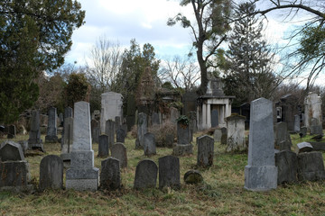 Naklejka premium Zentralfriedhof, Abteilung Alter jüdischer Friedhof