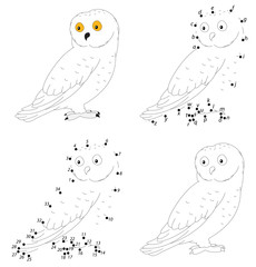 Cartoon polar owl for babies. Coloring book and dot to dot game for kids