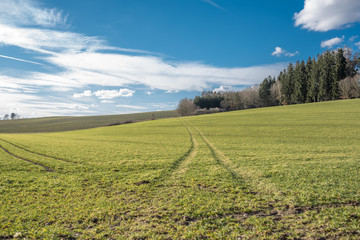 Fototapeta na wymiar Frühling auf Bayerns Feldern