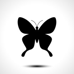 Butterfly icon, Butterfly silhouette on white background. Vector illustration