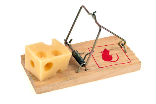 Morceau de gruy&egrave;re sur un pi&egrave;ge &agrave; souris 