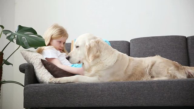 care for pets. Blonde girl is reading a book, lying on the couch with her dog in the living room. happy golden retriever in the family.
