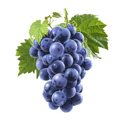 Fresh blue grapes bunch isolated on white background - obrazy, fototapety, plakaty