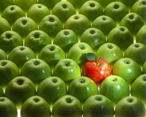 grapisches Arrangement aus vielen grünen und einem roten Apfel