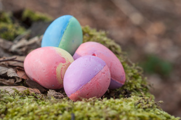 closeup of décorative easter eggs on moss in the forest