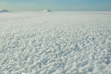 Snowflake meadow. Textured field of  huge snowflakes formed on lake ice after strong wind and frost. Blue skyline background.