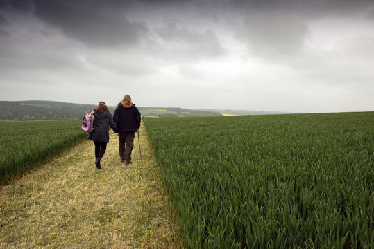 Butser Hill