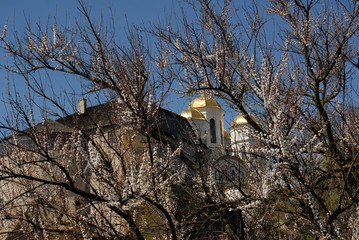 Spring blossoming and domes