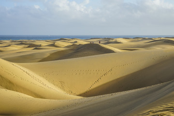 Fototapeta na wymiar Sand dunes in Canarian Islands