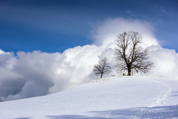 Snowcapped mountains on a sunny winter day