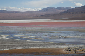 Laguna Colorada in Bolivia