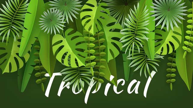 Tropical leaves and plants. Green abstract background with tropical foliage. Cut paper. Vector illustration
