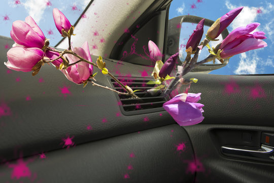 air conductors car magnolia flower aroma