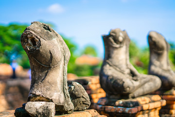 Fototapeta na wymiar Worship of Thailand,Buddha statue,History of Thailand,Buddha statue Temple of Ayutthaya Province. Ayutthaya Historical Park, Thailand