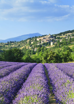 FRA/Provence, Aurel