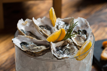 Oysters on ice