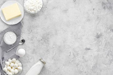 Natural farm products. Milk, cottage, eggs, cheese, yougurt on grey background top view copy space. Monochrome