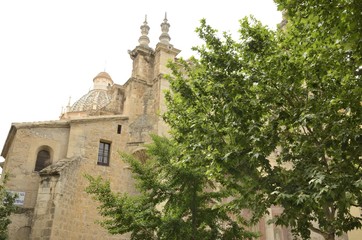 Tree and temple in Granada, Spain