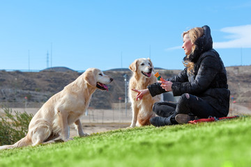 Perros y animales de compañia.Chica jugando con sus mascotas en el parque.Educacion y entrenamiento de perros