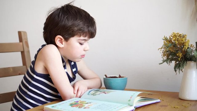 charming 6 years boy reading the book and eating dried fruits