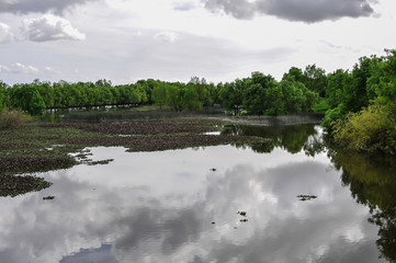 Campos inundados