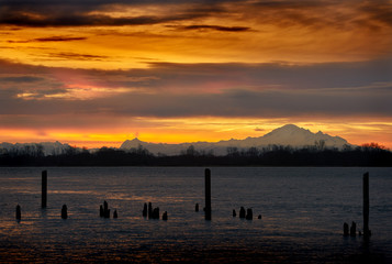 Fraser River, Mt. Baker. Fog rising over the Fraser River.  Mt. Baker in the background.

