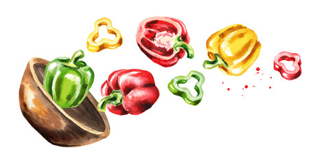 Bowl with ripe red bell peppers. Hand drawn horizontal watercolor illustration, isolated on white background