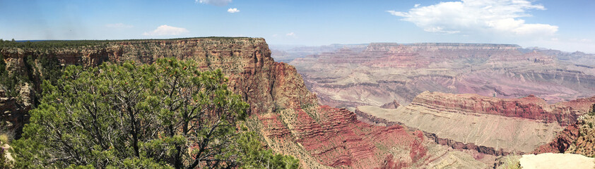 The Grand Canyon Panoramic