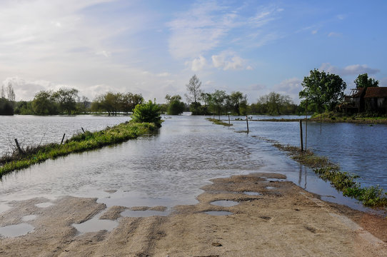 Campos inundados